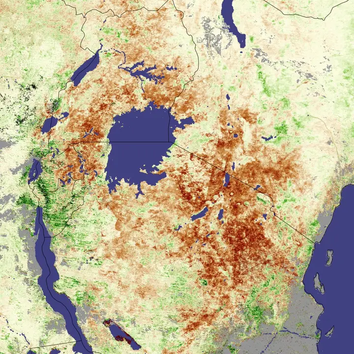 Satellite-derived vegetation anomaly map of East Africa