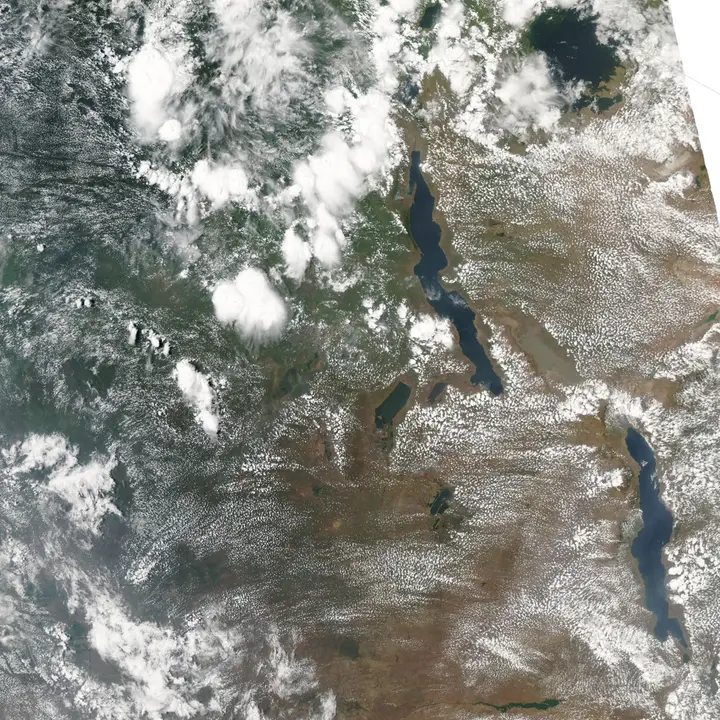 Satellite image showing fires across Eastern Africa